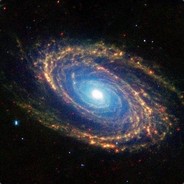 翻斗花园第一狙击手张小丽