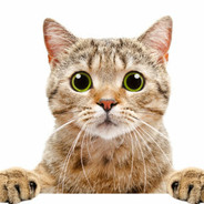 lwsk - steam id 76561198201157549