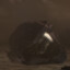 PukBall