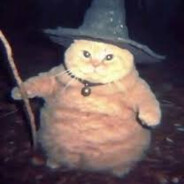 Fat Cat Wizard