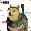 Call of doge