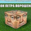 БЛОК П. ПОРОШЕНКА