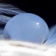 Kusamochi - steam id 76561197963577919
