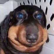 КОРОЛЬ ЗУБОВ