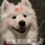 牢牢记住朕的十字真言