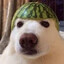 c0yote