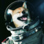 Astrodog