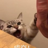 桌子不齐邓紫棋