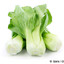 BokChoyDaddy