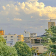 翻斗花园张大爷