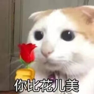 吮指原味鸡★”StatTack“