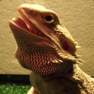 sExtraMedium - steam id 76561197961162117