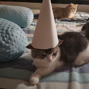 白色圣诞帽基米