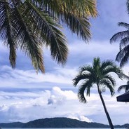 中东悍匪蔡徐坤