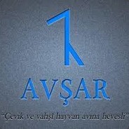 avşar46