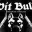 ^0(^7r^4u^1ss^0)^2PitBull
