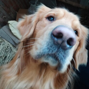 一片空白很无奈