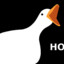 a goose who is also an asshole
