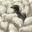 oliii_a