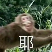 NA'VI 猴子派来的逗逼