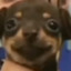 boquita