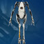 P-Body
