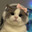 xDianax Steam avatar