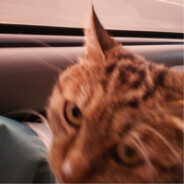 你倒是给我挡子弹啊