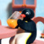 Pingu