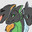 BurnG4501