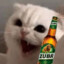 Piwozubr