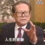 双目失明绿茶象