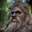 1creepysquatch
