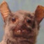 Snitte