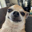 psy