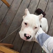 有一点点想caca你的蜜雪