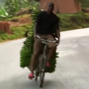 香蕉批发奥德彪