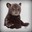 Bearlylegal
