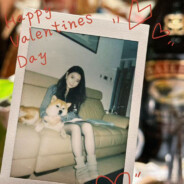 我永远喜欢金智鹅