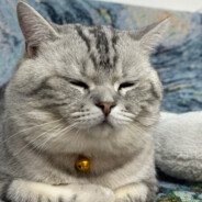 大禹都治不住她的