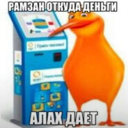 Шеф спер маа