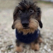 метнись за пивом