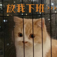 猫猫大人（不加班版）