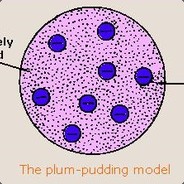 Plum_Pudding71