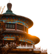 白茶清欢无别事