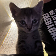 Marckiemoo (FREE AGENT)