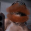 oyfreshly