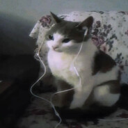 розовичелик