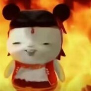 一只叫狗子的猫