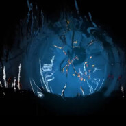 两株新芽-十二支架